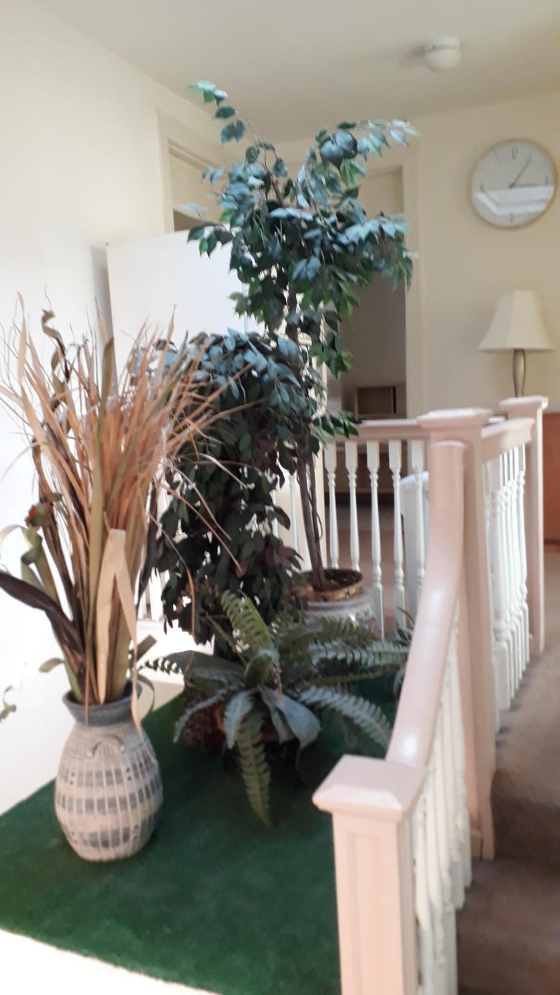 Pleasant Rooming House วอชิงตัน ภายนอก รูปภาพ